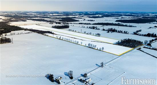 105 Acres, 90 Workable, Two Parcels for Sale, Rodney, Ontario