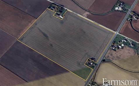 65 Acres, 100% Workable, Tiled, Chatham for Sale, Chatham, Ontario