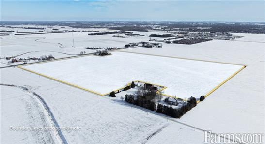 65 Acres, 100% Workable, Tiled, Chatham for Sale, Chatham, Ontario