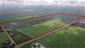 214 acres 200 Workable Acres in Chatham-Kent for Sale