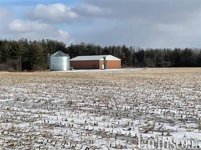 85 Acres Cash Crop Farm with Bush + Outbuildings for Sale, Rodney, Ontario