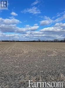 44 Acres in Thamesville for Sale, Chatham-Kent, Ontario