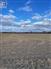 44 Acres in Thamesville for Sale, Chatham-Kent, Ontario