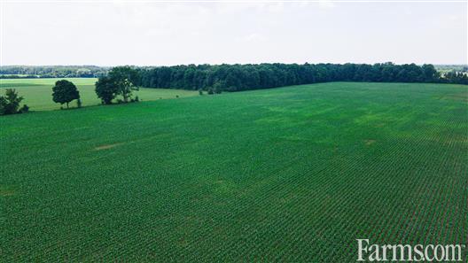 98 Acres, 92 Workable, Two Parcels Included for Sale, Bothwell, Ontario