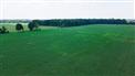 98 Acres, 92 Workable, Two Parcels Included for Sale, Bothwell, Ontario