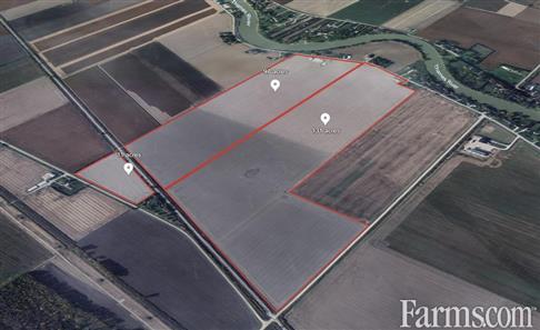 239 Acres, 231 Workable  for Sale, Chatham, Ontario