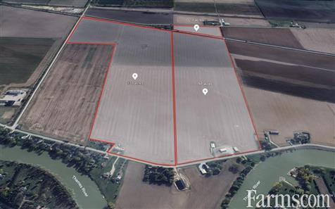 239 Acres, 231 Workable for Sale, Chatham, Ontario