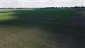 275 Acres, 267 Workable, 5 Farm Parcels for Sale, Chatham, Ontario