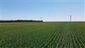 257 Acres, 200 Workable Backing Onto Lake Erie for Sale, Port Burwell, Ontario