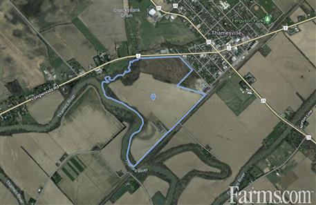 138 Acres, 85 Workable Rented for Sale, Thamesville, Ontario