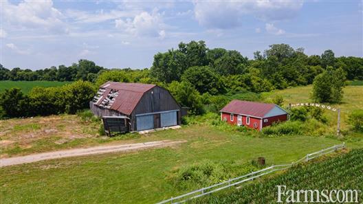 138 Acres, 85 Workable Rented for Sale, Thamesville, Ontario