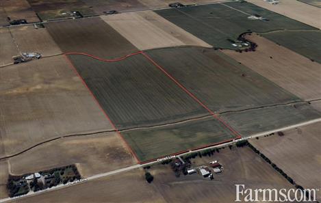 60 Acres, 60 Workable, Recently Systematically Tiled for Sale, Chatham, Ontario