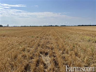 60 Acres, 60 Workable, Recently Systematically Tiled for Sale, Chatham, Ontario