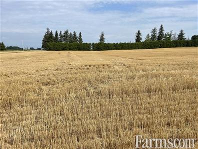 60 Acres, 60 Workable, Recently Systematically Tiled for Sale, Chatham, Ontario