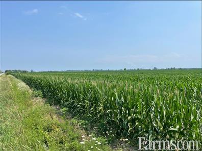 50 Acres, 48.5 Workable Harrow Ontario for Sale, Harrow, Ontario