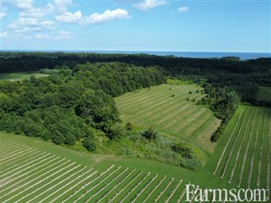 113 Acres, 30 Cash Crop, 30 Fruit, Custom Ranch for Sale, New Glasgow, Ontario