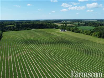 113 Acres, 30 Cash Crop, 30 Fruit, Custom Ranch for Sale, New Glasgow, Ontario