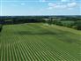 113 Acres, 30 Cash Crop, 30 Fruit, Custom Ranch for Sale, New Glasgow, Ontario