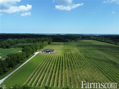 113 Acres, 30 Cash Crop, 30 Fruit, Custom Ranch for Sale, New Glasgow, Ontario