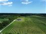 113 Acres, 30 Cash Crop, 30 Fruit, Custom Ranch for Sale, New Glasgow, Ontario