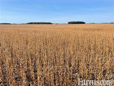 104 Acres, 100 Workable Lambton for Sale, Dresden, Ontario