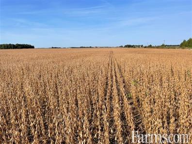 104 Acres, 100 Workable Lambton for Sale, Dresden, Ontario