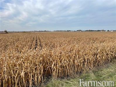 30 Acres Bare Land Chatham for Sale, Chatham, Ontario