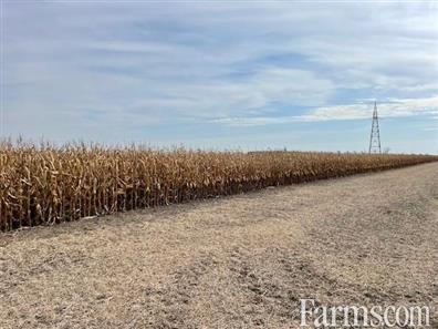 30 Acres Bare Land Chatham for Sale, Chatham, Ontario