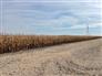 30 Acres Bare Land Chatham for Sale, Chatham, Ontario