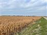 30 Acres Bare Land Chatham for Sale, Chatham, Ontario