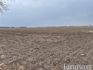 103 acres 10 mins from Chatham for Sale, Chatham, Ontario