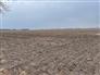 103 acres 10 mins from Chatham for Sale, Chatham, Ontario