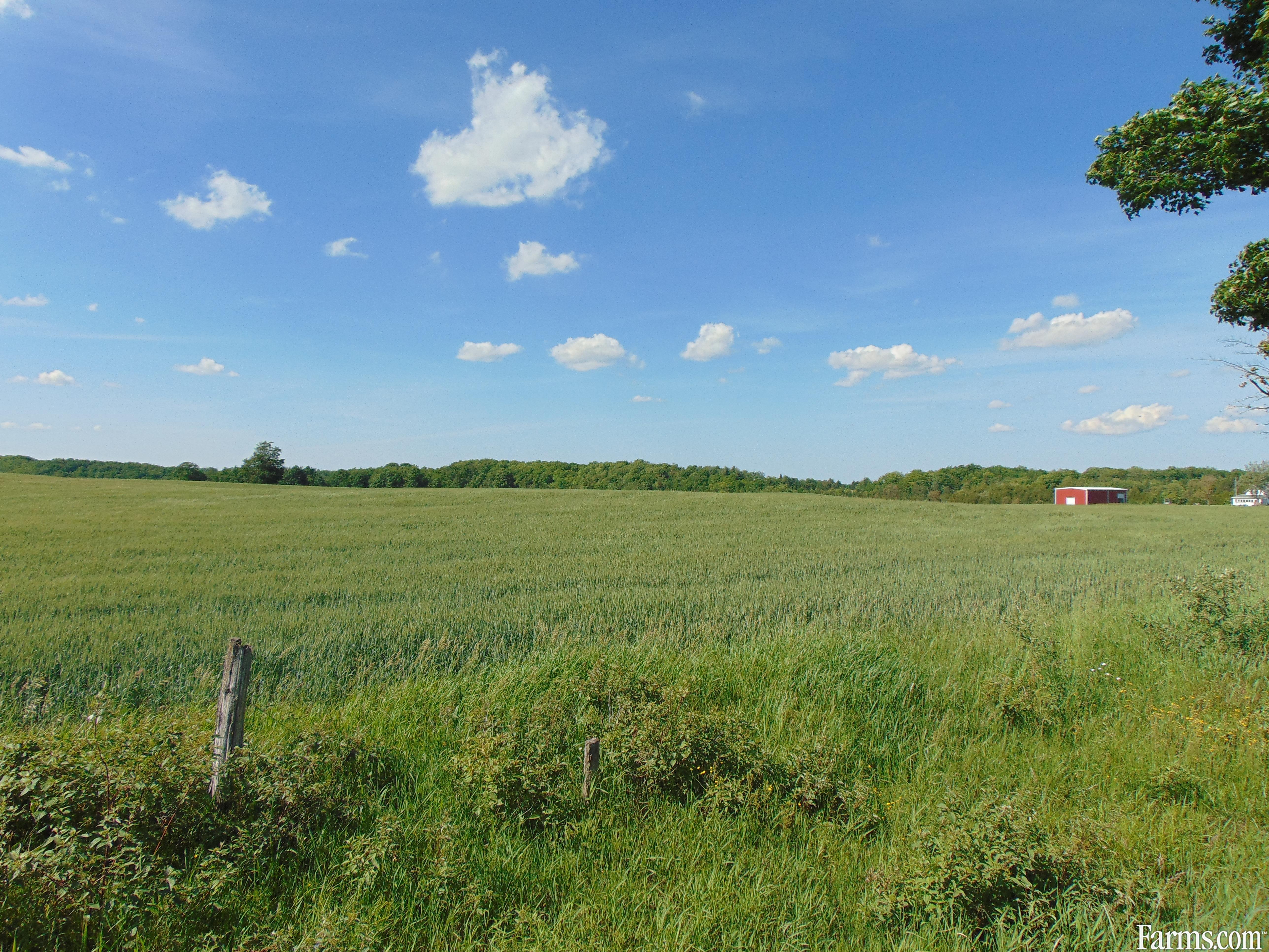 Vacant Land with Shop for Sale, Melancthon, Ontario
