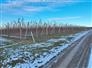 45 Acre High density orchard in Blue Mountains for Sale, Clarksburg, Ontario
