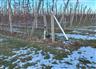 45 Acre High density orchard in Blue Mountains for Sale, Clarksburg, Ontario