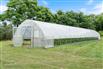 13 Acre Hobby Farm Just Outside The City & 4 Bedroom House for Sale, Ayr, Ontario