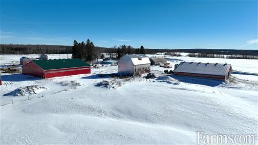 776 +/- Acres & Beef Operation for Sale, Cochrane, Ontario