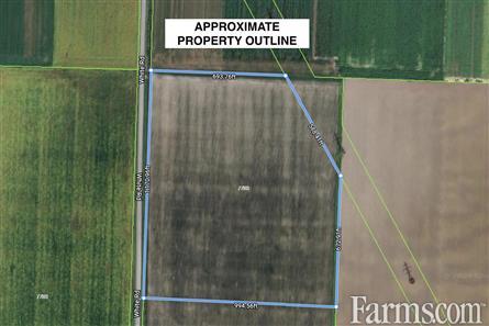 Organic Land in Southern Ontario for Sale, Wallaceburg, Ontario