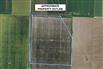 Organic Land in Southern Ontario for Sale, Wallaceburg, Ontario