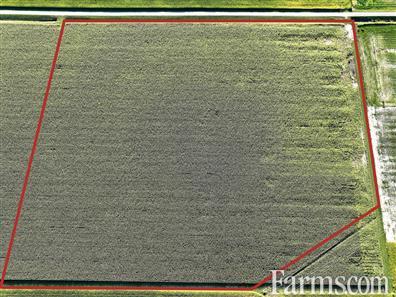 Organic Land in Southern Ontario for Sale, Wallaceburg, Ontario