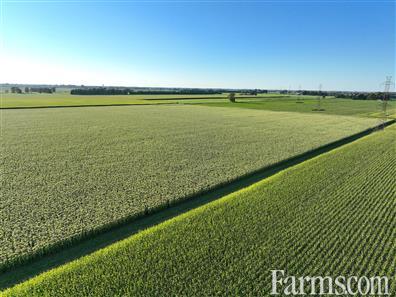 Organic Land in Southern Ontario for Sale, Wallaceburg, Ontario