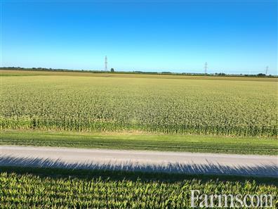 Organic Land in Southern Ontario for Sale, Wallaceburg, Ontario