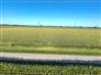 Organic Land in Southern Ontario for Sale, Wallaceburg, Ontario