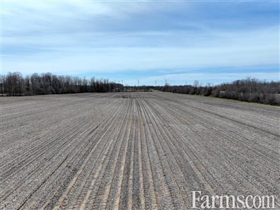46 Acre Organic Farm with Storage and Office for Sale, Dungannon, Ontario