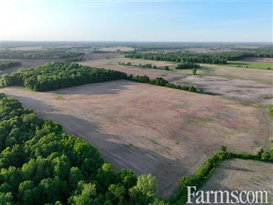 156 Acres outside Newbury, Ontario for Sale, Newbury, Ontario