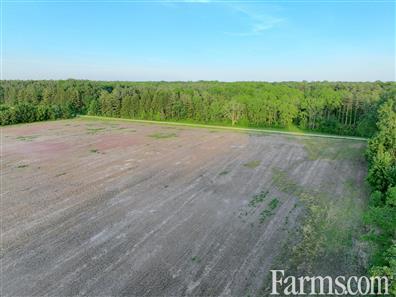 156 Acres outside Newbury, Ontario for Sale, Newbury, Ontario