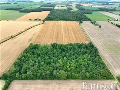 51 Acres *crop has been harvested* for Sale, Dawn-Euphemia, Ontario