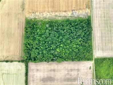 51 Acres *crop has been harvested* for Sale, Dawn-Euphemia, Ontario