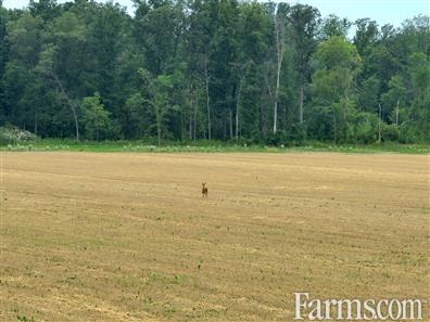 51 Acres *crop has been harvested* for Sale, Dawn-Euphemia, Ontario