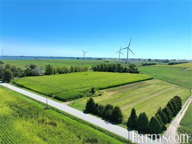 11 Acre Hobby Farm Close to Waterfront for Sale, Blenheim, Ontario